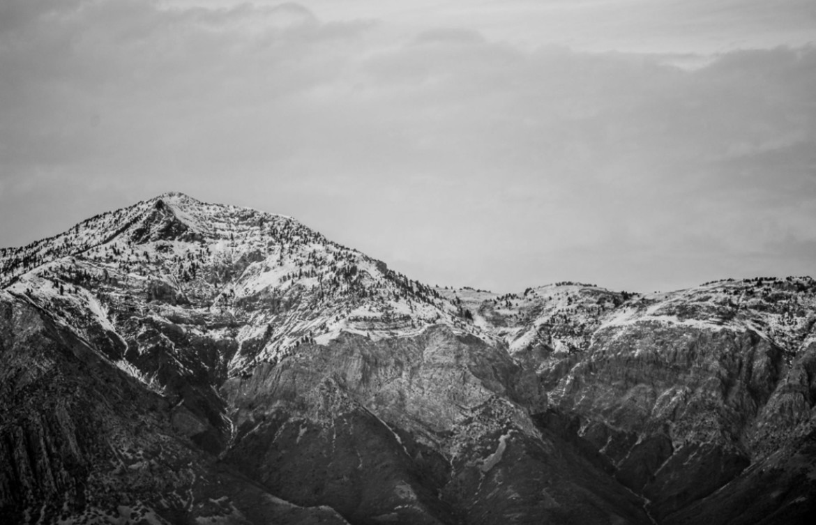 Screen Shot 2020-11-10 at 3.30.29 PM